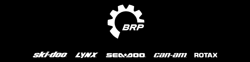 Campionato Rotax Italia - Motori sigillati Brp - Rotax 125 - I marchi del gruppo